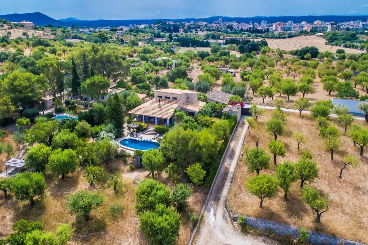 Ideal Property Mallorca - Can Reure Inca  Gospodarstwo wiejskie