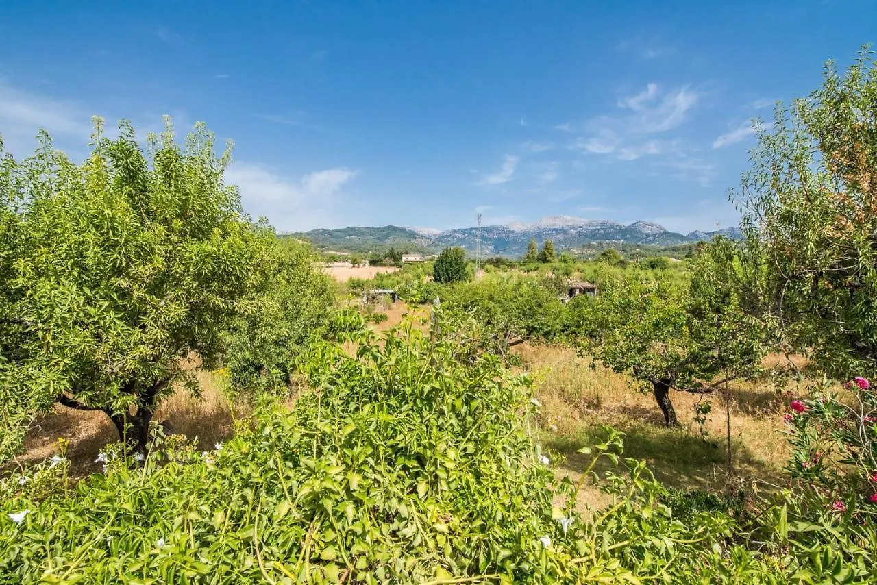 Gospodarstwo wiejskie Ideal Property Mallorca - Can Reure Inca