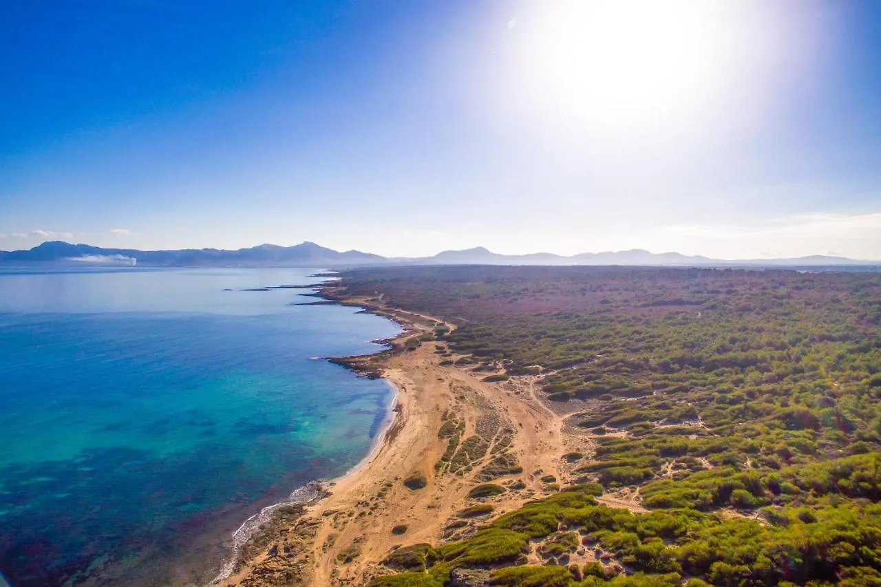 Ideal Property Mallorca - Can Reure Inca  Inca (Mallorca)